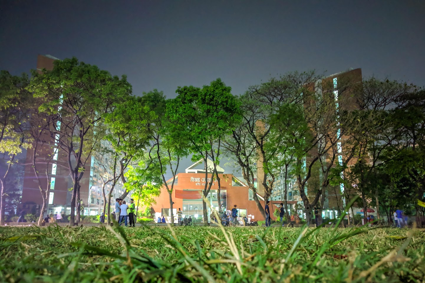 Trees and illuminated campus buildings at night